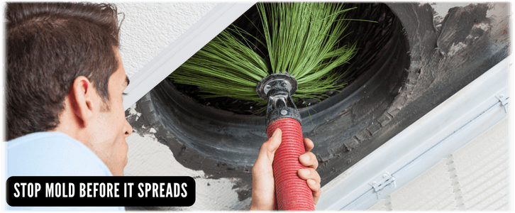 Air Duct Mold Removal in Houston