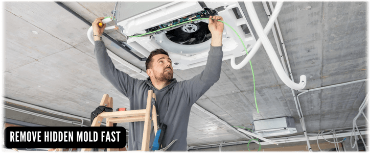 HVAC Mold Removal Houston